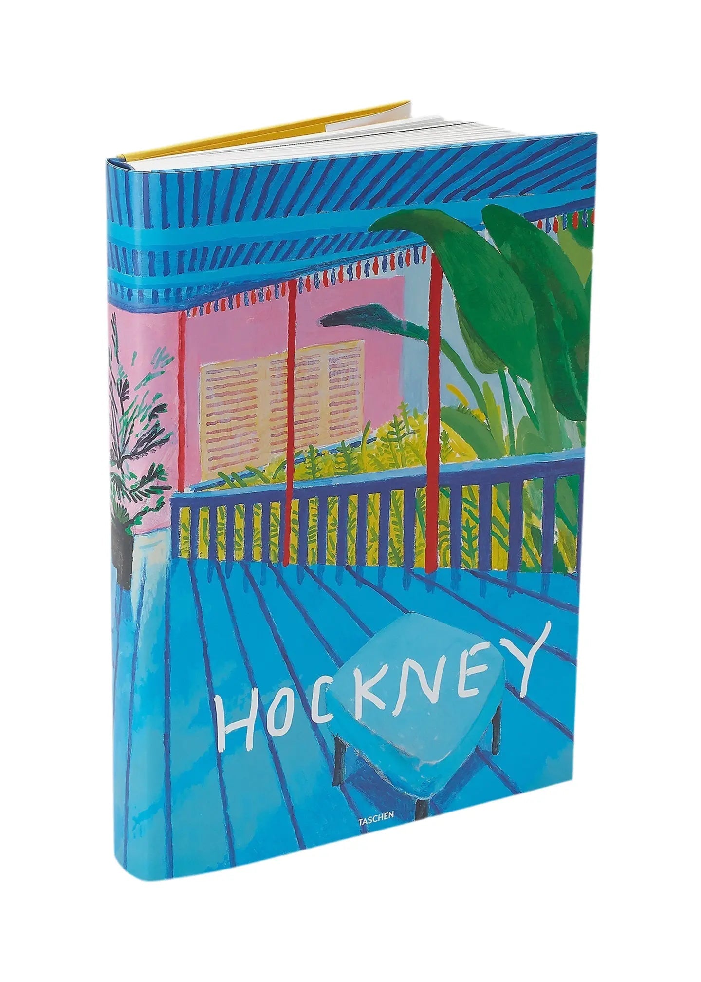 A Bigger Book David Hockney