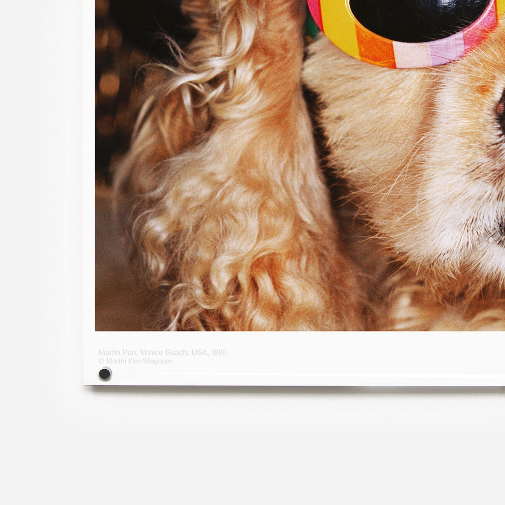 Venice Beach Martin Parr