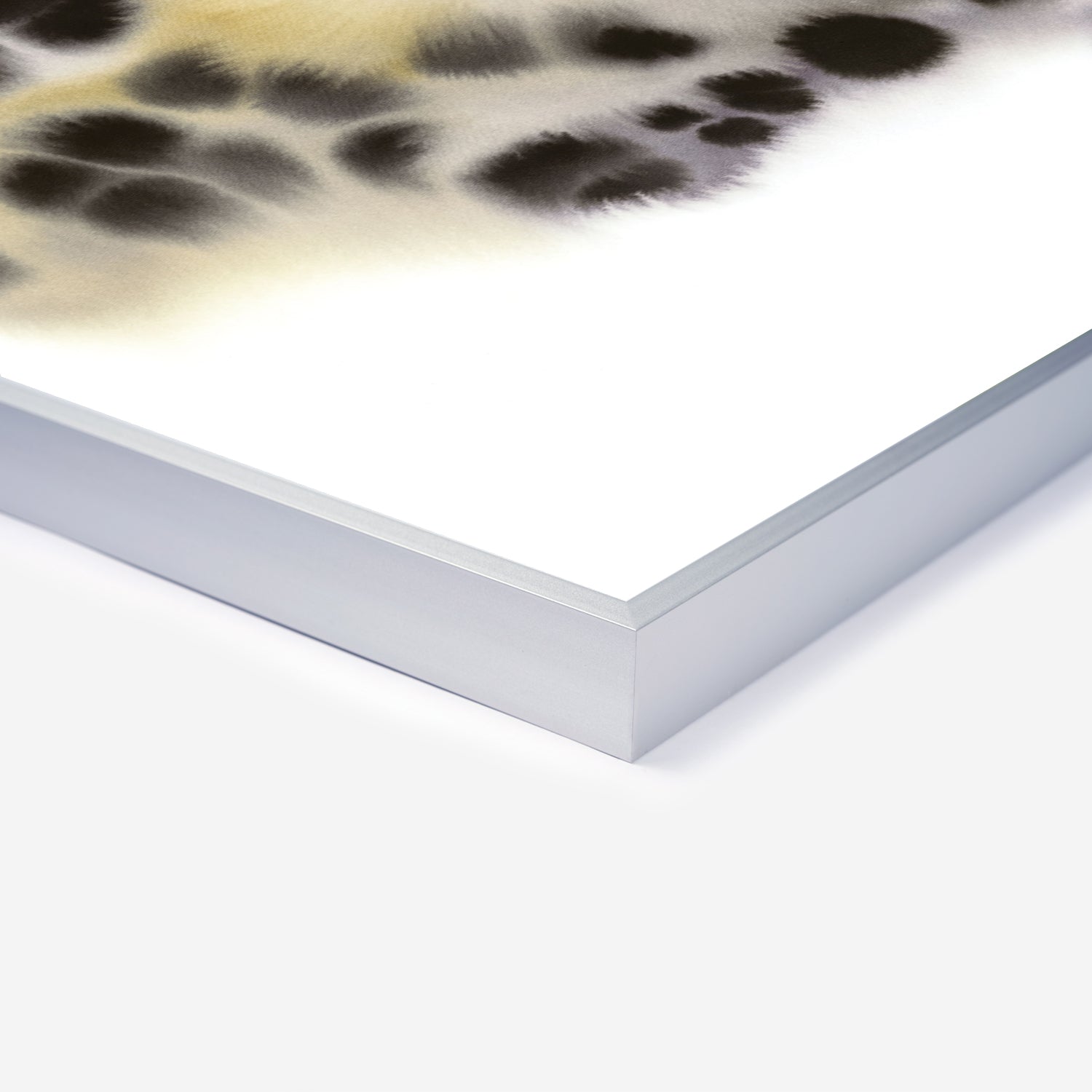 Snow Leopard Rop van Mierlo