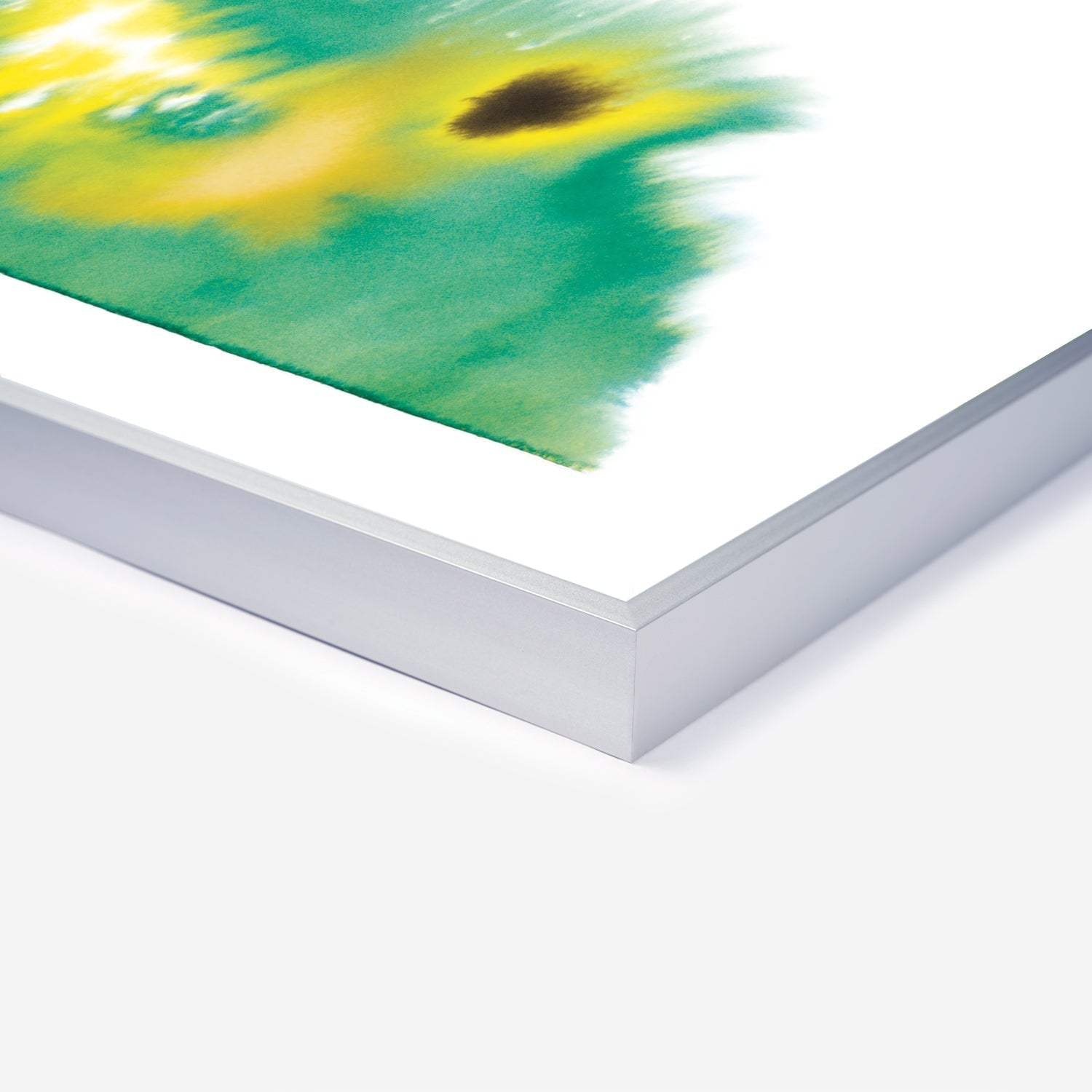 Crocodile Rop van Mierlo