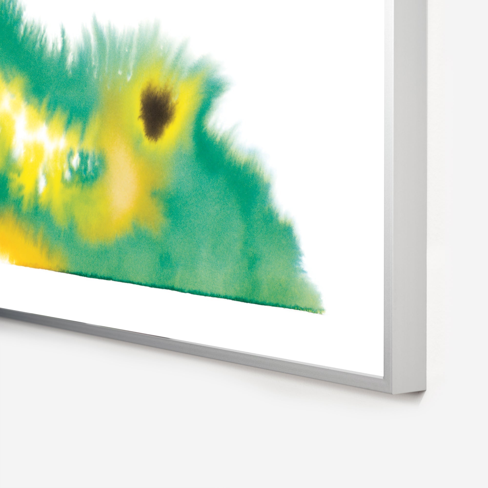 Crocodile Rop van Mierlo