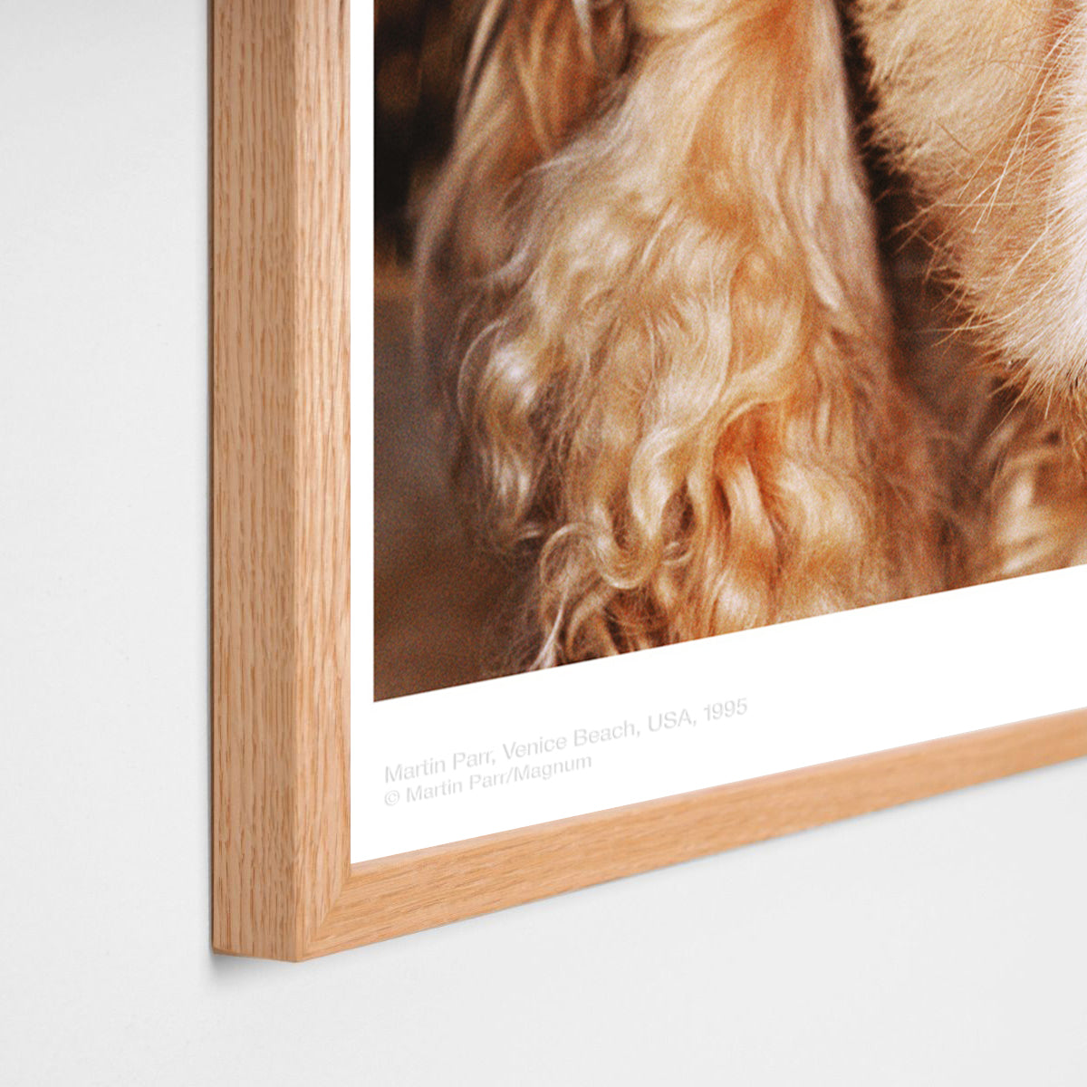 Venice Beach Martin Parr