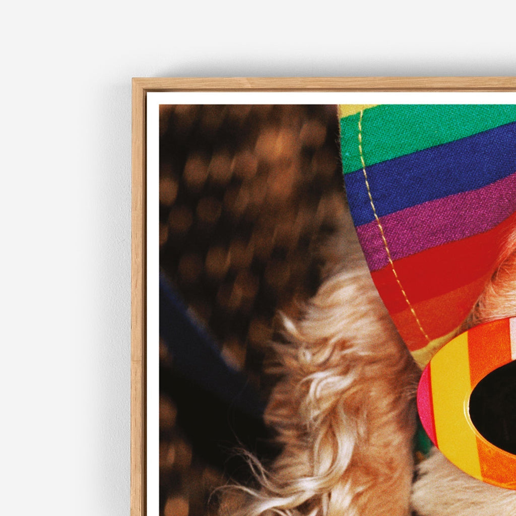 Venice Beach Martin Parr