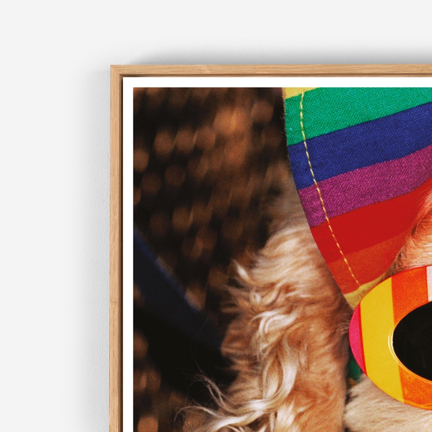 Venice Beach Martin Parr