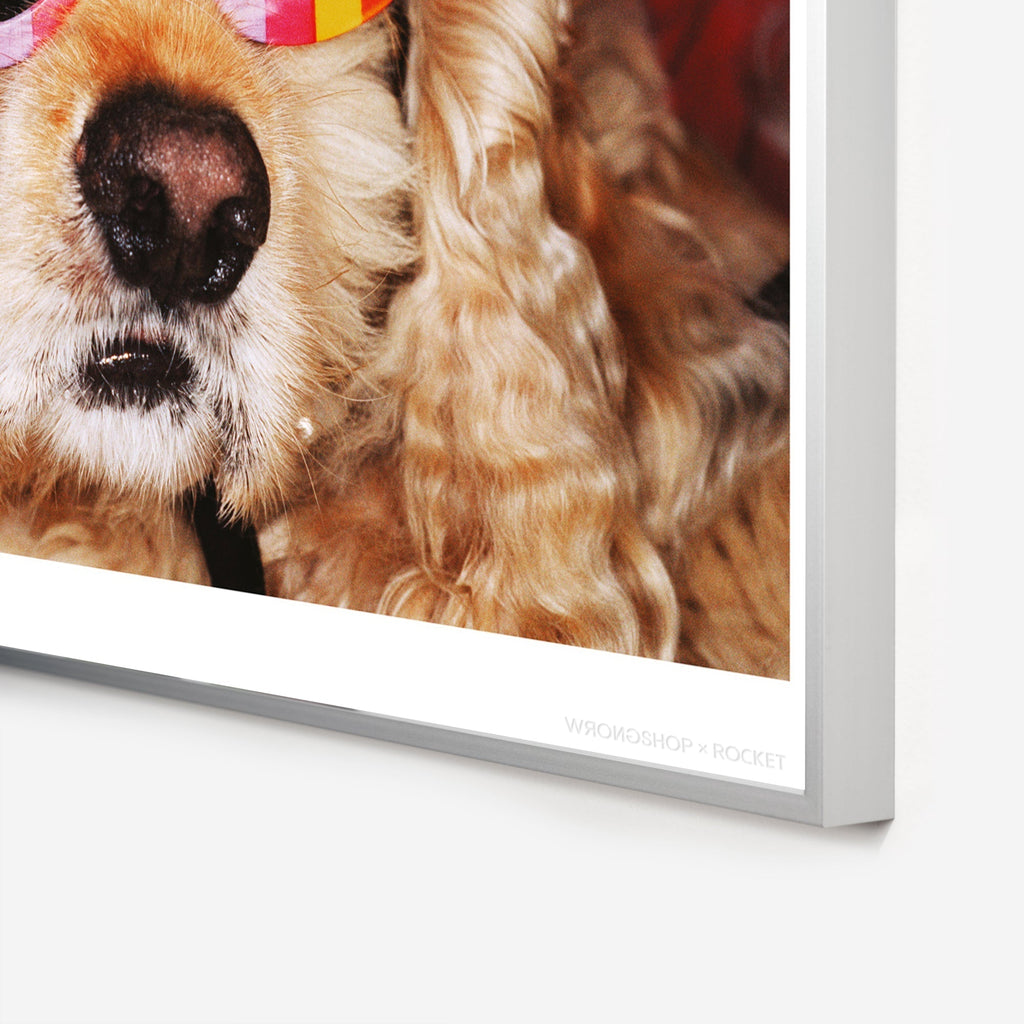 Venice Beach Martin Parr